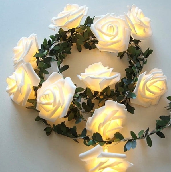 Yellow Rose Lights