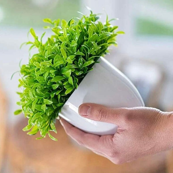 Artificial Plant