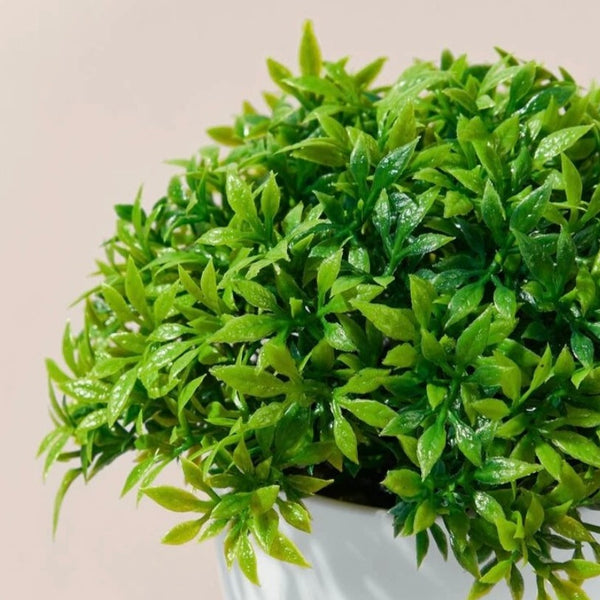 Artificial Plant
