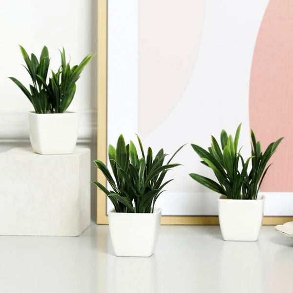 Artificial Succulent